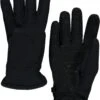 'Spyder' Men's Encore Gloves - Black -Outdoor Clothing Store 197018 001 A 1 1024x1024@2x