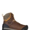 'Bogs' Men's 8" Bedrock WP Insulated Comp Toe - Brown / Gray / Black